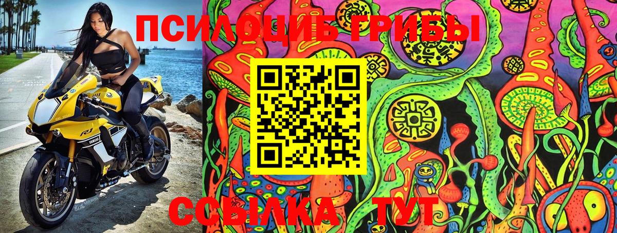 Нальчик  Галлюциногенные грибы GOLDEN TEACHER  Вход с VPN  Псилоцибиновые грибы Magic Shrooms 