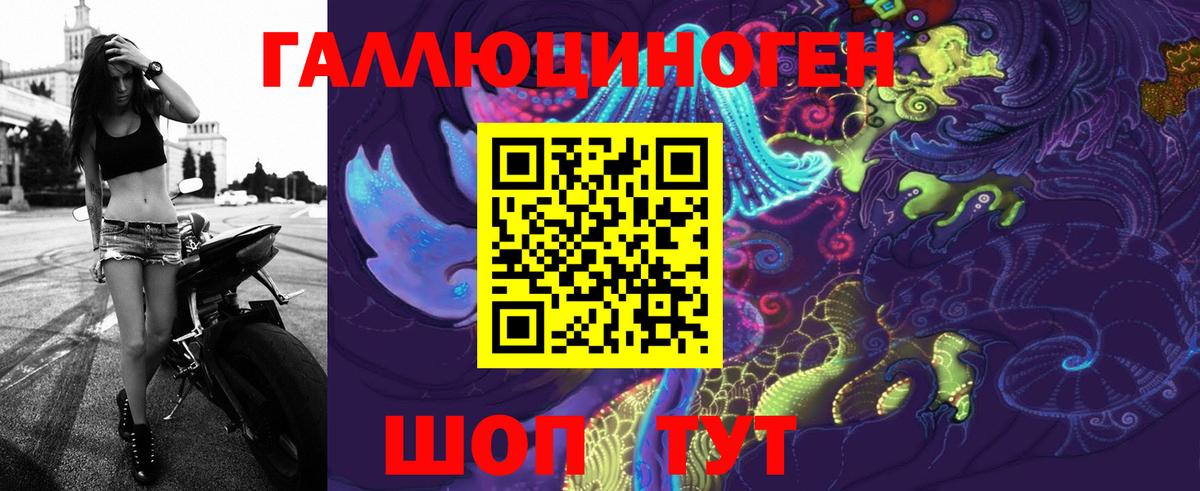 Псилоцибиновые грибы Cubensis Нальчик